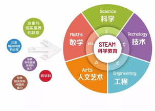 steam教育与五大领域有效融合